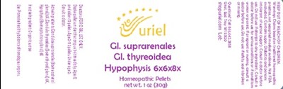 Gi. Suprarenales Gi. Thyreoidea Hypophysis 6x6x8x (Gi. Suprarenales Gi. Thyreoidea Hypophysis 6x6x8x)